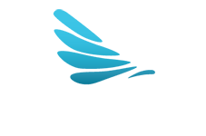 Sea Wings